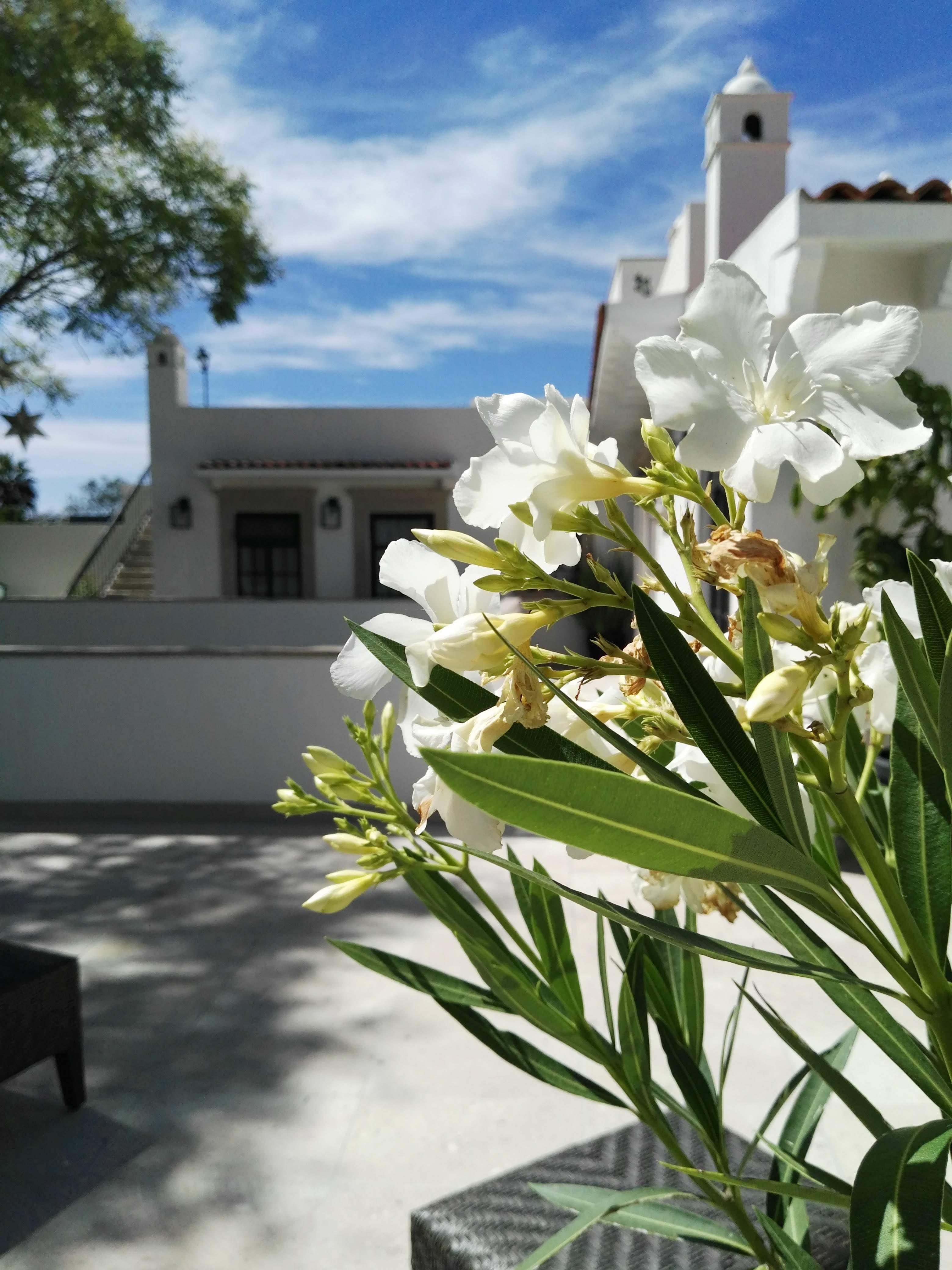 Casa Lani Luxury B&B San Miguel de Allende Exterior foto