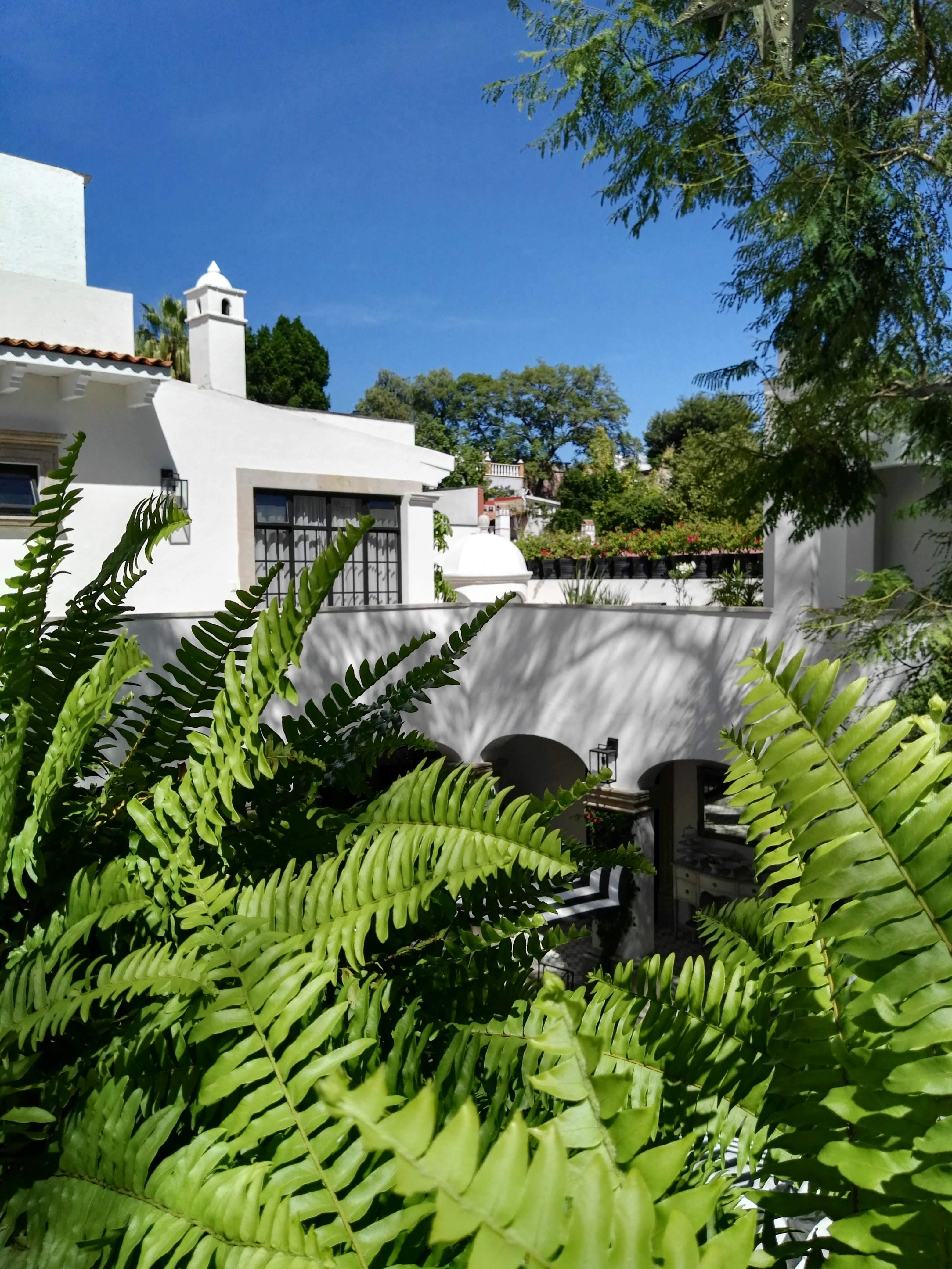 Casa Lani Luxury B&B San Miguel de Allende Exterior foto