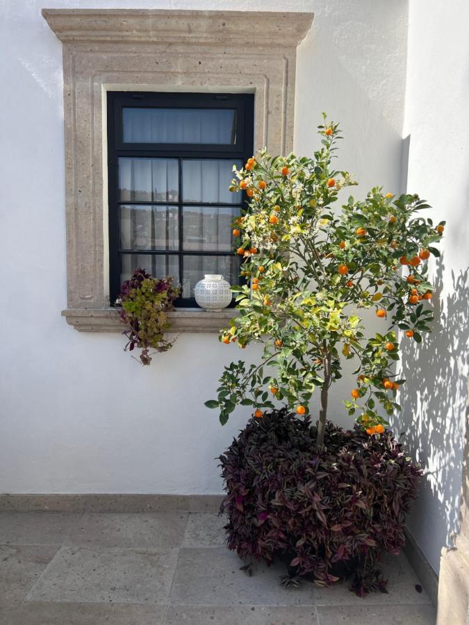 Casa Lani Luxury B&B San Miguel de Allende Exterior foto